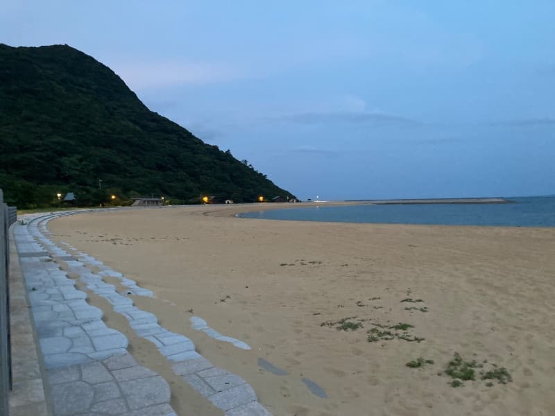 眉毛花子